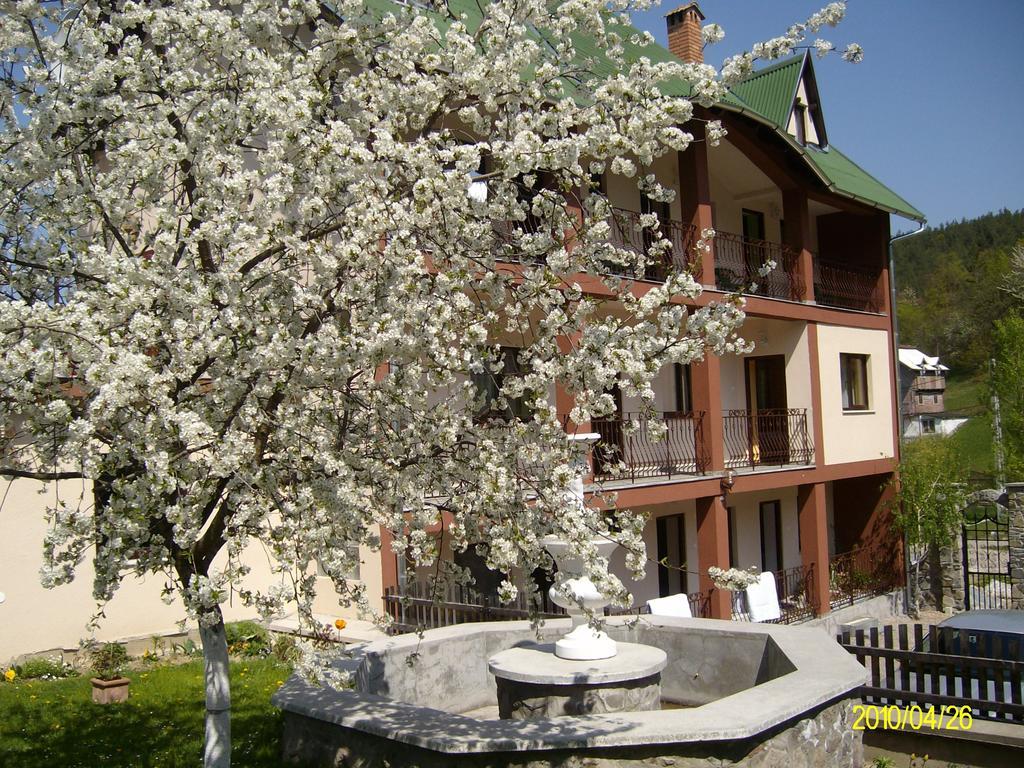 Bed and Breakfast Mokus Panzio Bicfălău Exterior foto
